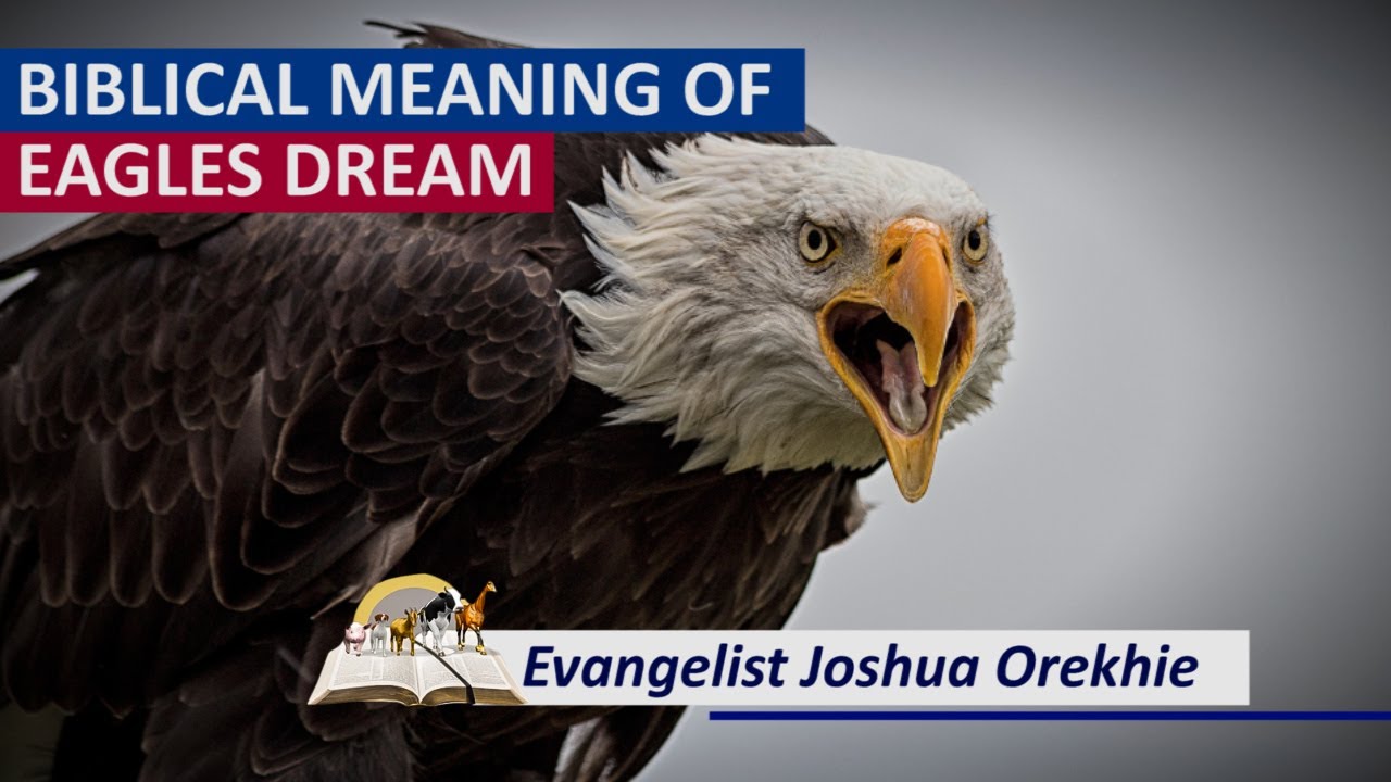 Interprétation des rêves d'aigle : ce que cela signifie pour vous 1 eagle interpretation in dreams