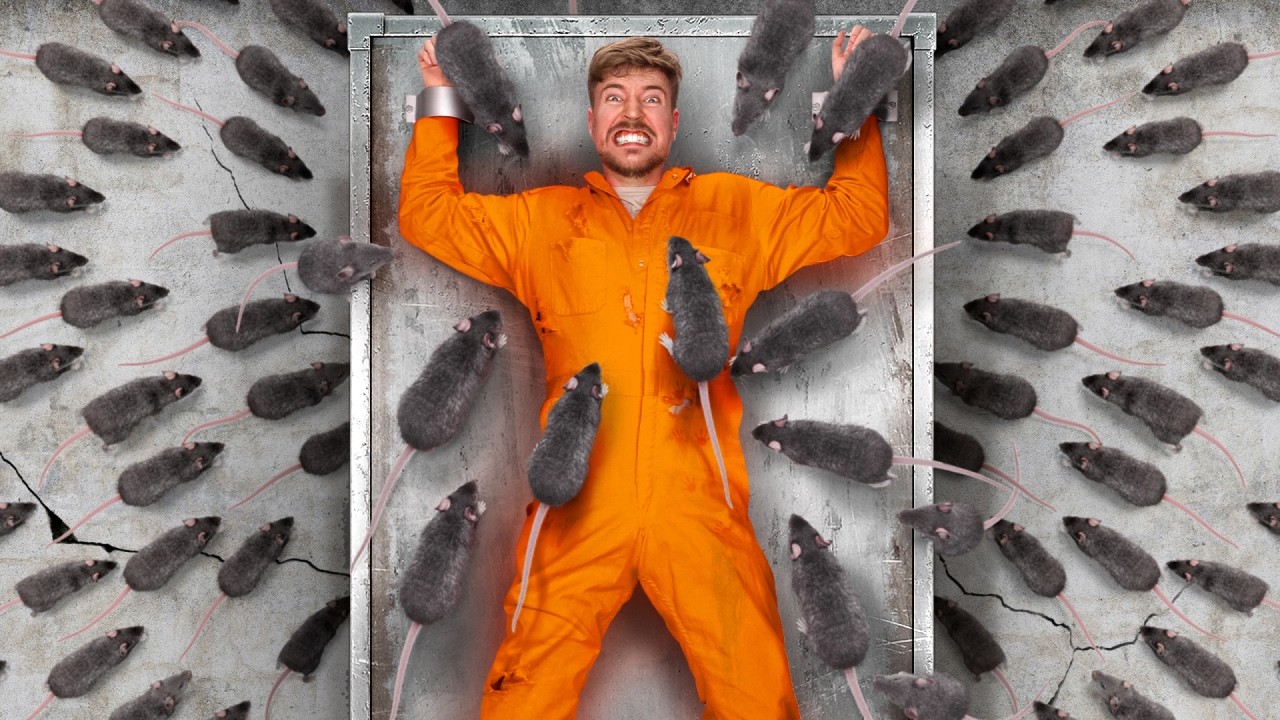 Facing your fears : stratégies efficaces pour surmonter ses peurs et gagner en confiance 1 facing your fears