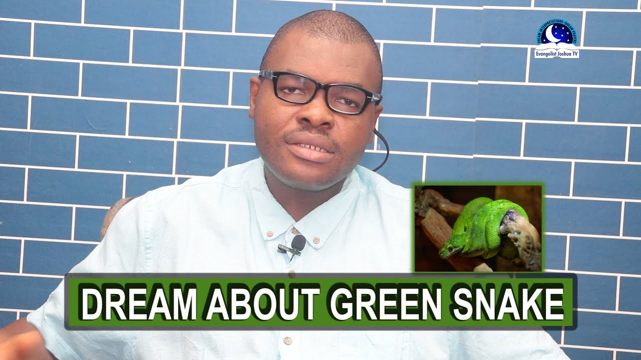 Interprétation des rêves : que signifie voir un serpent vert dans vos rêves 1 green snake in dreams