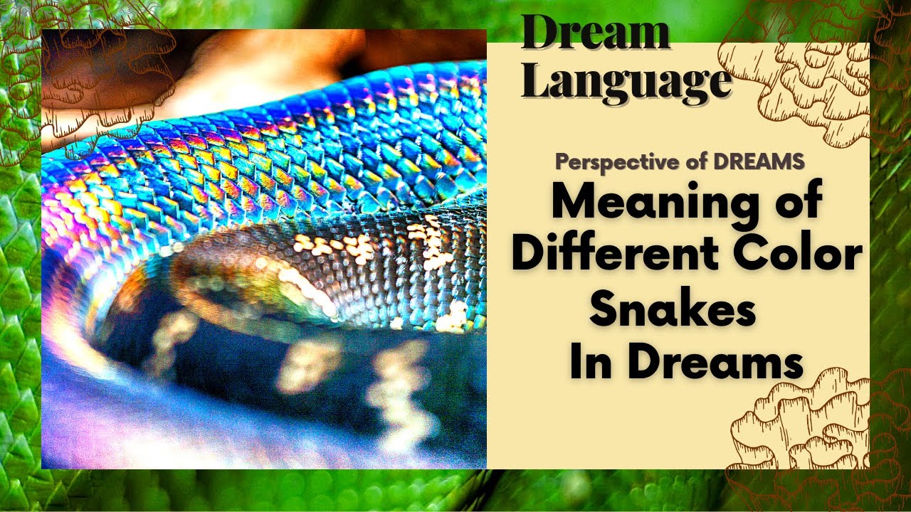Comprendre la signification des serpents colorés et leur symbolisme 1 colored snake meaning