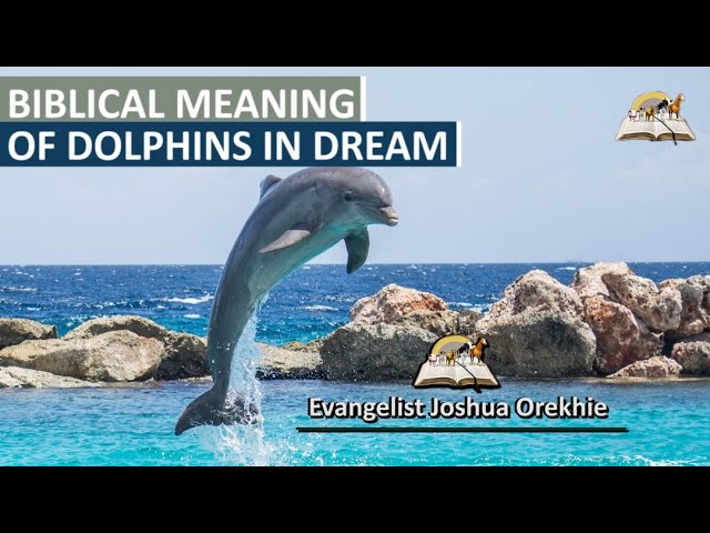 Dreaming of dolphins : interprétation des rêves et symbolisme des dauphins 1 dreaming of dolphins