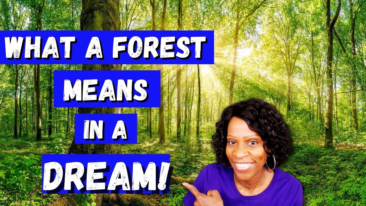 Rêver de forêt : découvrir les bienfaits et la symbolique des rêves forestiers 1 dreaming of forest