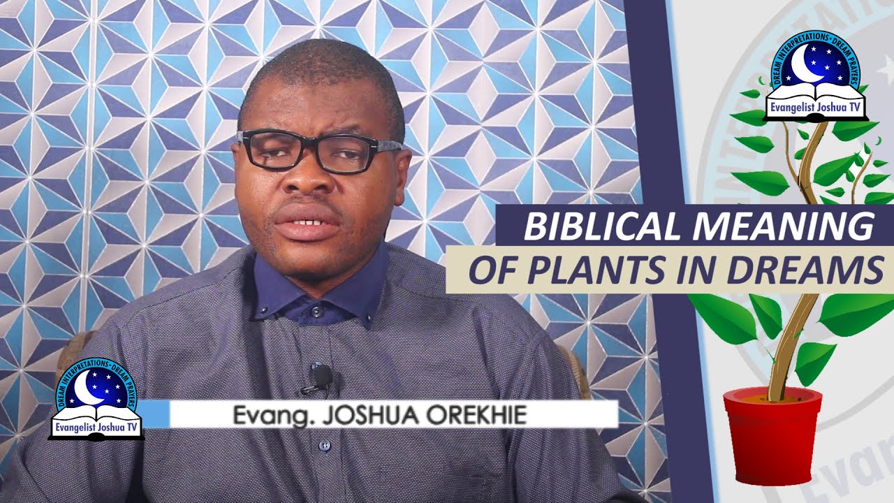 Les bienfaits de rêver de plantes : significations et interprétations 1 dreaming of plants
