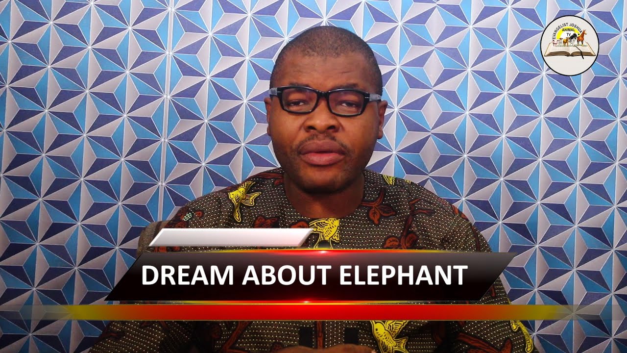 Signification des rêves d'éléphants et leur interprétation profonde 1 meaning of elephant dreams
