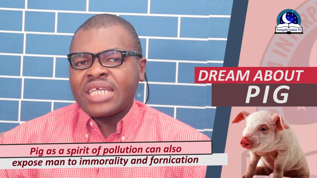 Signification des rêves de cochon : interprétation et symbolisme expliqués 1 pig dream meaning