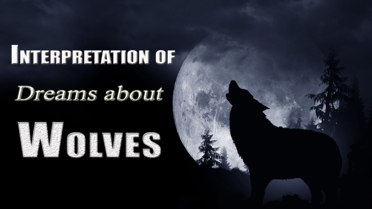 Wolf symbolism in dreams understanding meaning and interpretations 1 wolf symbolism in dreams